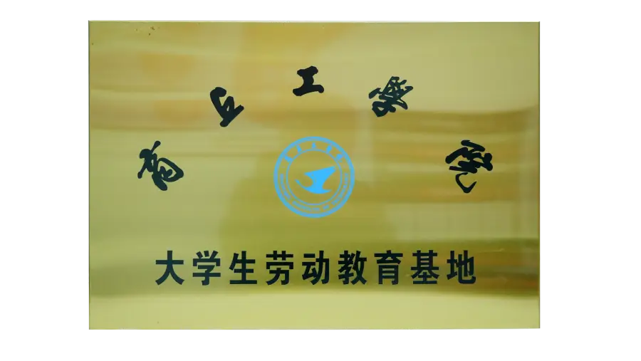 荣誉证书 12.webp