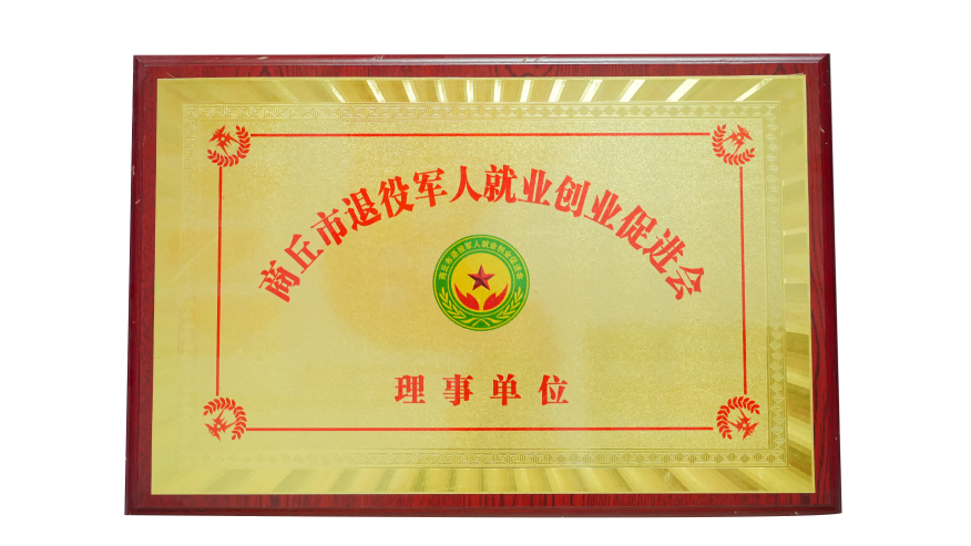 荣誉证书 4.png