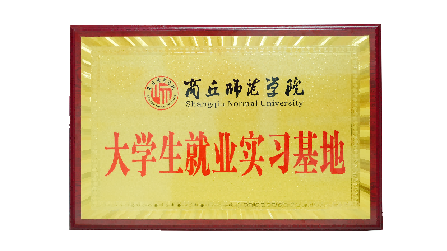 荣誉证书 5.png