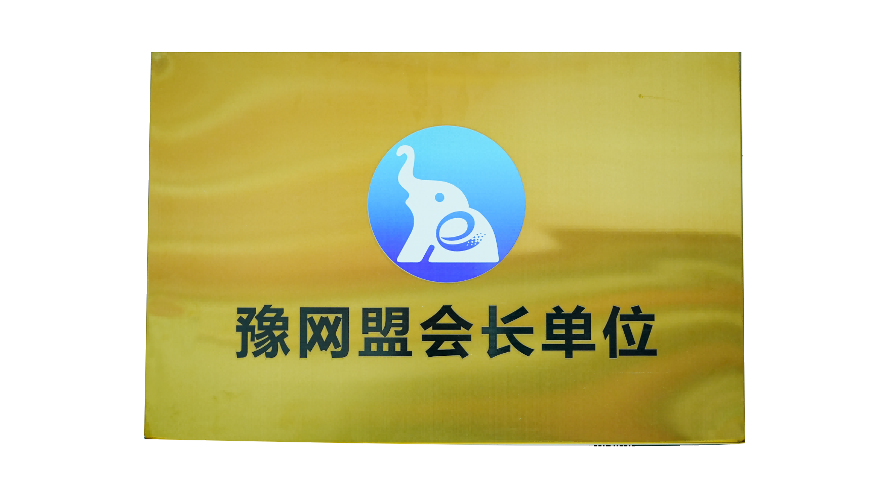 荣誉证书 7.png